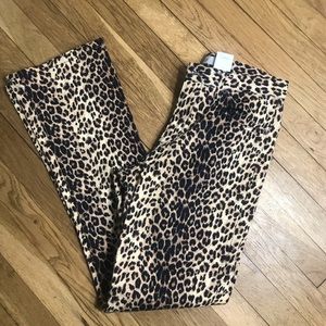 Arden B Leopard Print Flare Pants Size 8